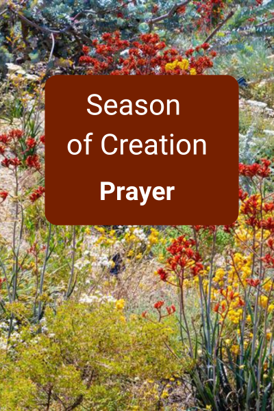 Season Of Creation Prayer 400X600px (1)