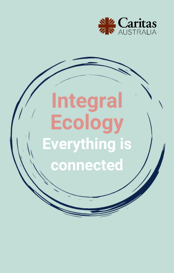 Integral Ecology Everything Is Connected