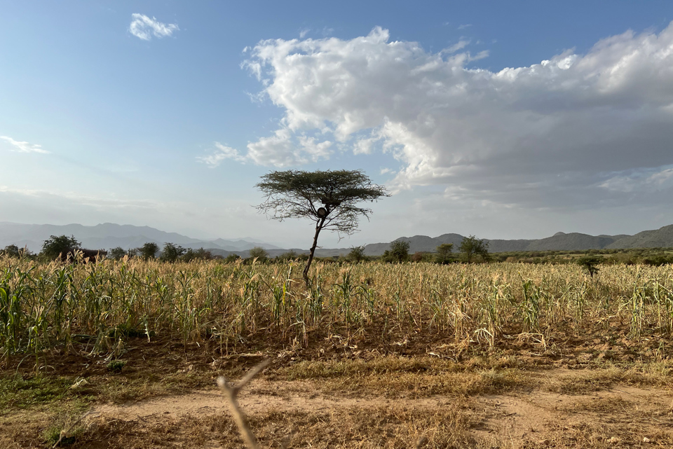 Drought Struck Lands Of Southern Ethiopia Photo Richard Landels Caritas Australia