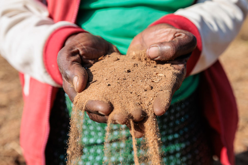 Priscilla Clutches Dry Soil Amidst A Drought On Her Farm In Zimbabwe