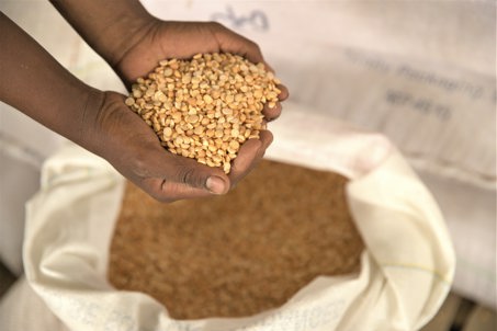 Legumes from emergency food distribution in Ethiopia.