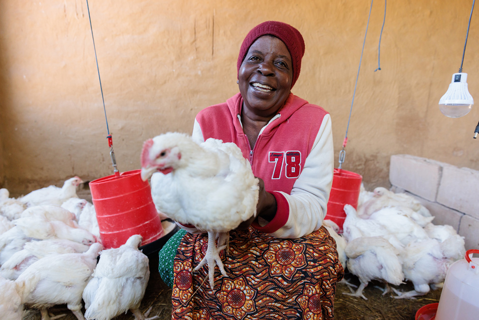 Priscilla Holding Chicken