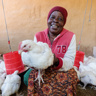 Priscilla Holding Chicken