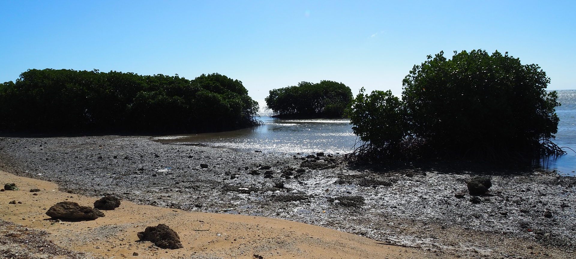 Coast of Tonga