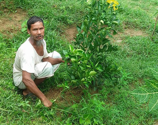 Mintu Mia Is Working In Malta Garden, It Is A Garden For Collective Marketing, Nicintapur, (1)