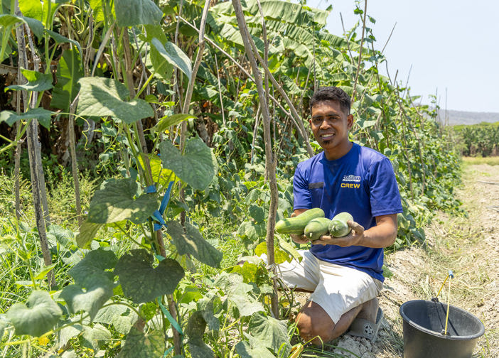 Chiquito Showing His Vegetables