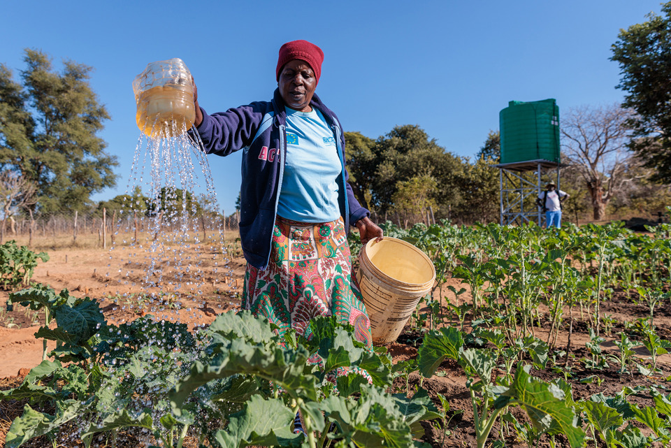 Priscilla Watering Vegetable Garden