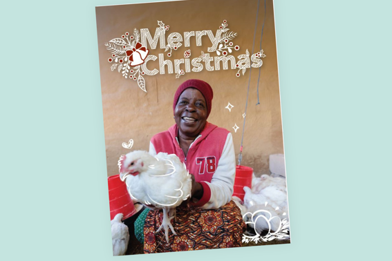 Global Gifts Product Tiles Christmas Chicken