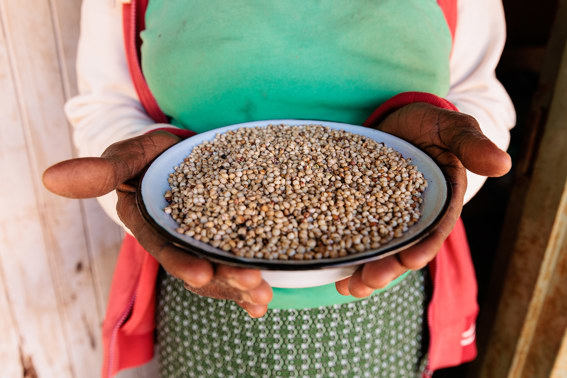 Priscilla Holds Bowl Of Sorghum