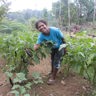 Shirley In Her Farm