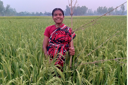 Boosting Food Security For Indigenous Communities In Bangladesh