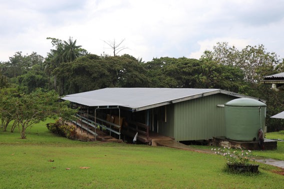 Health Clinic In East Sepik In PNG