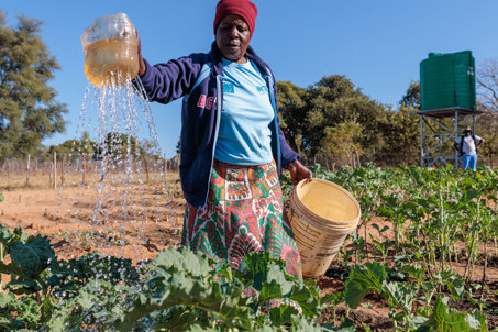 Priscilla Practices Conservation Farming Skills She Learned From Caritas Hwange