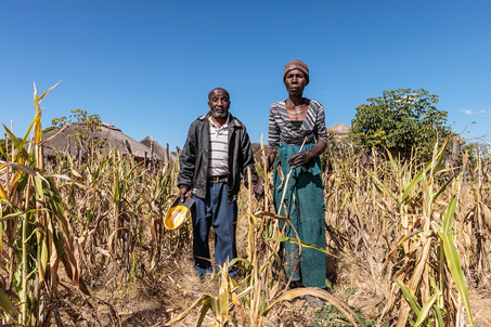 Woman And Man In Drought Stricken Zimbabwe