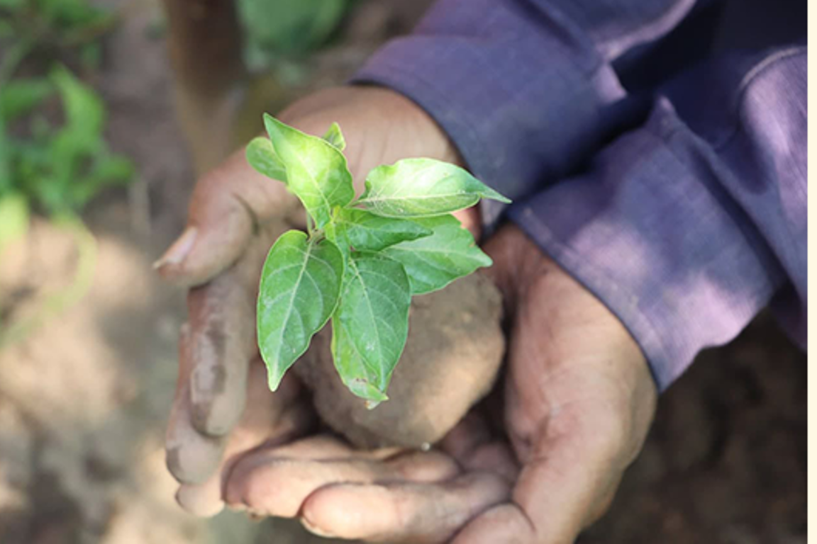 World Environment Day 2021 | Caritas Australia